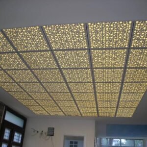 erenoglu-insaat-asma-tavan (9)